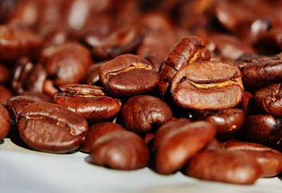 انواع دان قهوه معروف در بازار